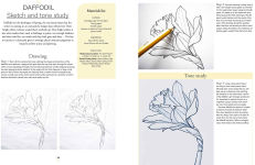 Alternative view 5 of Botanical Watercolours through the Seasons: An all-year-round guide to painting flowers and plants