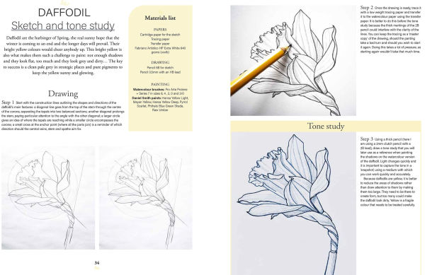 Botanical Watercolours through the Seasons: An all-year-round guide to painting flowers and plants