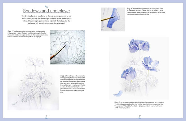 Botanical Watercolours through the Seasons: An all-year-round guide to painting flowers and plants