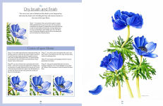 Alternative view 7 of Botanical Watercolours through the Seasons: An all-year-round guide to painting flowers and plants