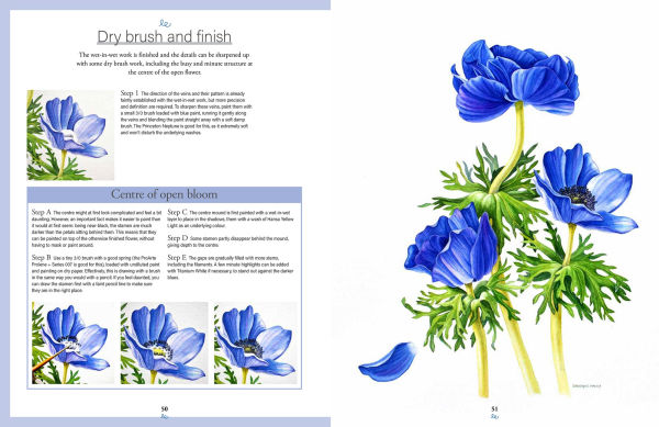 Botanical Watercolours through the Seasons: An all-year-round guide to painting flowers and plants