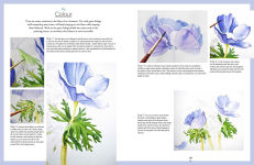Alternative view 9 of Botanical Watercolours through the Seasons: An all-year-round guide to painting flowers and plants