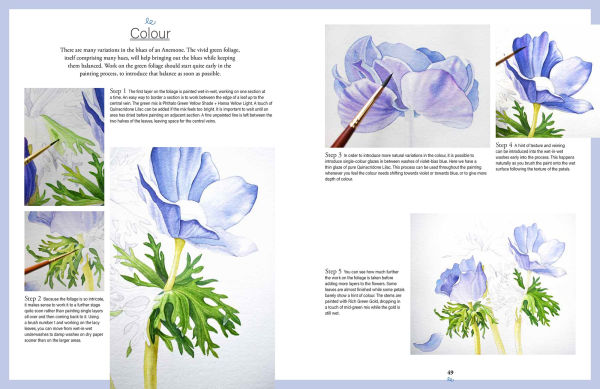 Botanical Watercolours through the Seasons: An all-year-round guide to painting flowers and plants
