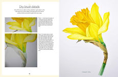 Alternative view 10 of Botanical Watercolours through the Seasons: An all-year-round guide to painting flowers and plants