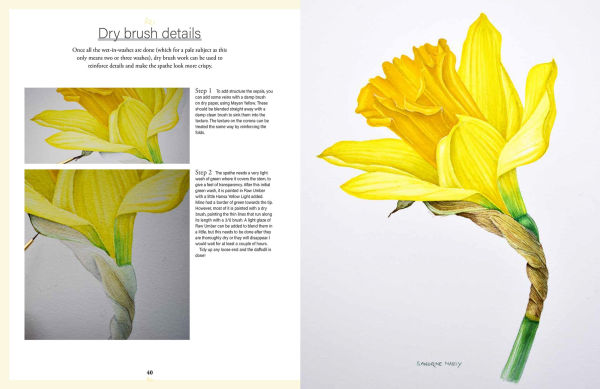 Botanical Watercolours through the Seasons: An all-year-round guide to painting flowers and plants