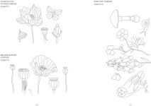 Alternative view 14 of Kew Book of Nature Samplers, The: 10 embroidery projects with reusable iron-on transfers