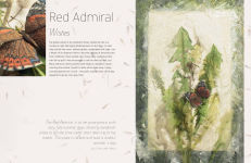 Alternative view 6 of The Art of Embroidered Butterflies
