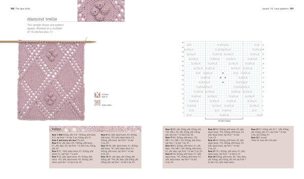 Very Easy Guide to Lace Knitting, The: Step-by-step techniques, easy-to-follow stitch patterns and projects to get you started
