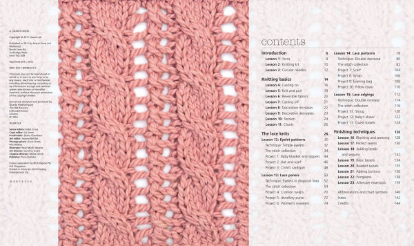 Very Easy Guide to Lace Knitting, The: Step-by-step techniques, easy-to-follow stitch patterns and projects to get you started