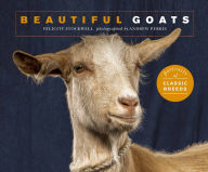 Title: Beautiful Goats: Portraits of champion breeds, Author: Felicity Stockwell