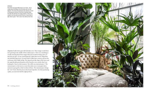 Wild at Home: How to style and care for beautiful plants