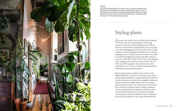 Wild at Home: How to style and care for beautiful plants