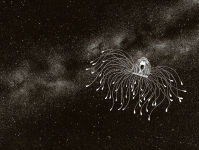 Alternative view 2 of Amazing Jellyfish: Mysterious Dweller of the Deep