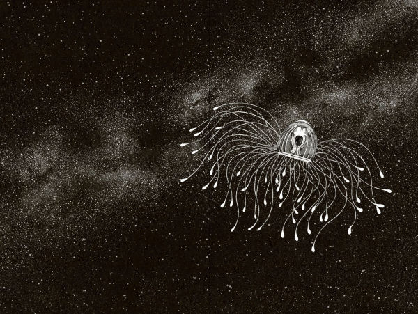 Amazing Jellyfish: Mysterious Dweller of the Deep