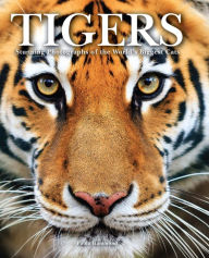 Title: Tigers, Author: Paula Hammond