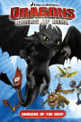 DreamWorks' Dragons: Riders of Berk - Volume 2: Dangers of the Deep (How to Train Your Dragon TV)