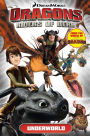 DreamWorks' Dragons: Riders of Berk - Volume 6: Underworld (How to Train Your Dragon TV)