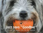 Jazz says Goodbye: A book for anyone who has lost someone