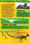 Alternative view 5 of Dino Record Breakers: The Biggest, Fastest and Deadliest Dinos Ever!