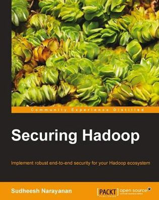 Securing Hadoop