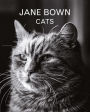 Jane Bown: Cats