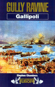 Title: Gully Ravine: Gallipoli, Author: Stephen Chambers