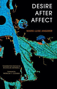 Title: Desire After Affect, Author: Marie-Luise Angerer
