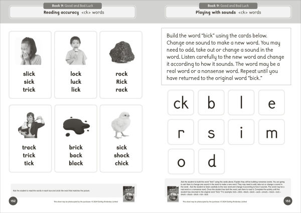 Phonic Books That Dog! Activities: Photocopiable Activities Accompanying That Dog! Books for Older Readers (CVC, Consonant Blends and Consonant Teams)