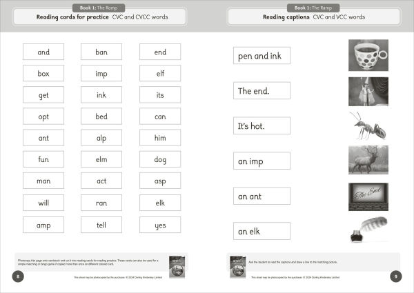 Phonic Books That Dog! Activities: Photocopiable Activities Accompanying That Dog! Books for Older Readers (CVC, Consonant Blends and Consonant Teams)