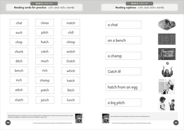 Phonic Books That Dog! Activities: Photocopiable Activities Accompanying That Dog! Books for Older Readers (CVC, Consonant Blends and Consonant Teams)
