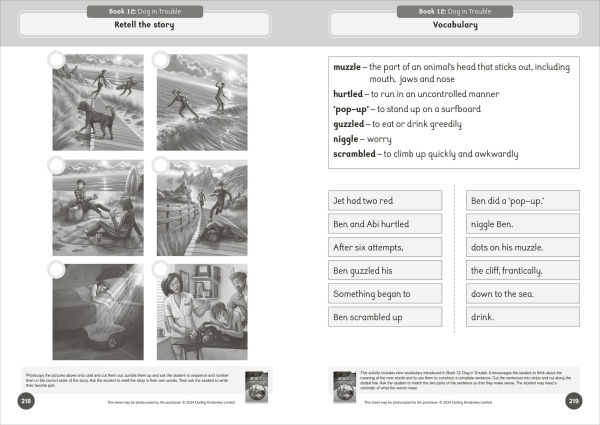 Phonic Books That Dog! Activities: Photocopiable Activities Accompanying That Dog! Books for Older Readers (CVC, Consonant Blends and Consonant Teams)