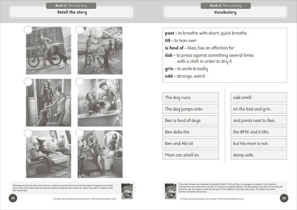 Phonic Books That Dog! Activities: Photocopiable Activities Accompanying That Dog! Books for Older Readers (CVC, Consonant Blends and Consonant Teams)