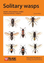 Solitary Wasps