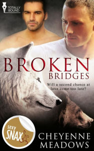 Title: Broken Bridges, Author: Cheyenne Meadows