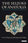 The Seljuks of Anatolia: Court and Society in the Medieval Middle East