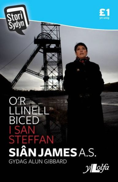 Stori Sydyn: O'r Llinell Biced i San Steffan