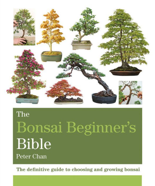 The Bonsai Bible The definitive guide to choosing and growing bonsai