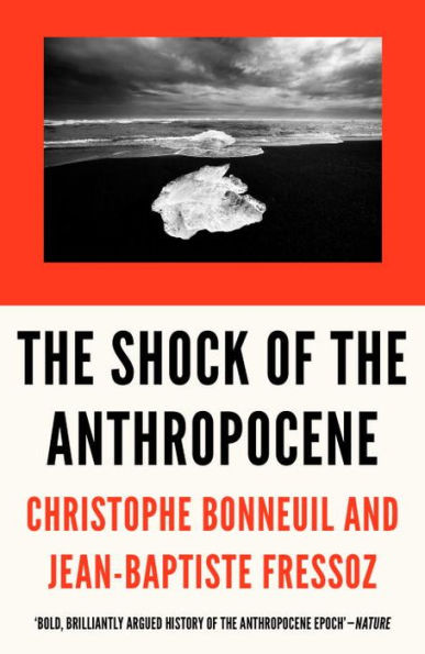 The Shock of the Anthropocene: The Earth, History and Us