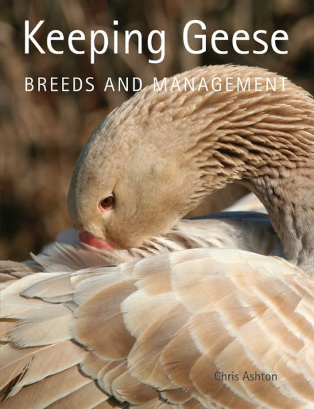 Keeping Geese: Breeds and Management