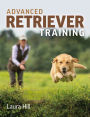 Advanced Retriever Training