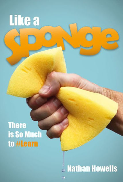 a sponge