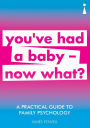 A Practical Guide to Family Psychology: You've had a baby -now what?