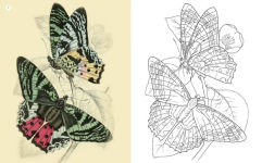Alternative view 2 of The Beauties of Nature Coloring Book