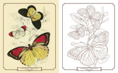 Alternative view 3 of The Beauties of Nature Coloring Book