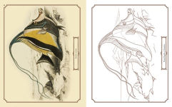 Alternative view 4 of The Beauties of Nature Coloring Book