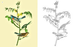 Alternative view 6 of The Beauties of Nature Coloring Book