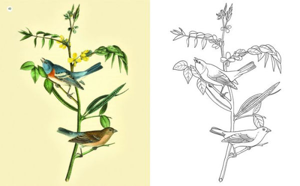 The Beauties of Nature Coloring Book