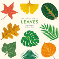 Title: The Little Guide to Leaves, Author: Alison  Davies