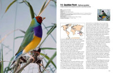Alternative view 6 of 100 Birds to See in Your Lifetime: The Ultimate Wish-List for Birders Everywhere