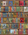 Bodleian High Jinks Bookshelves Sketchbook